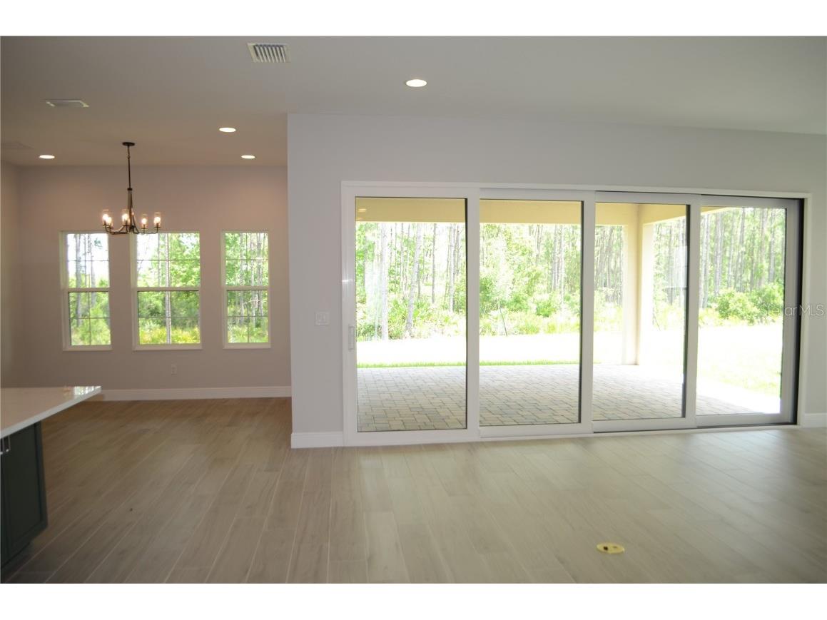 35311 Big Hawk Drive Zephyrhills FL 33541 TB8397906 image5