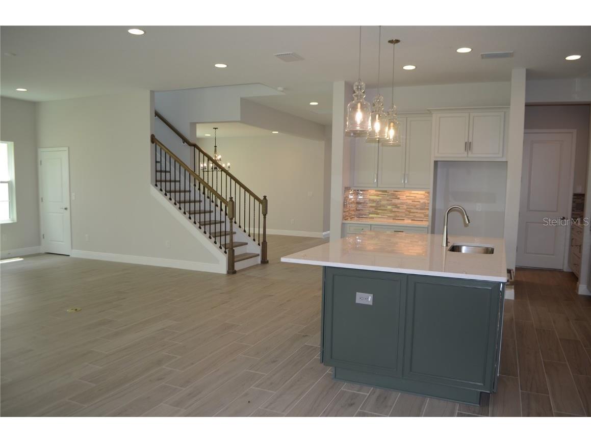 35311 Big Hawk Drive Zephyrhills FL 33541 TB8397906 image6