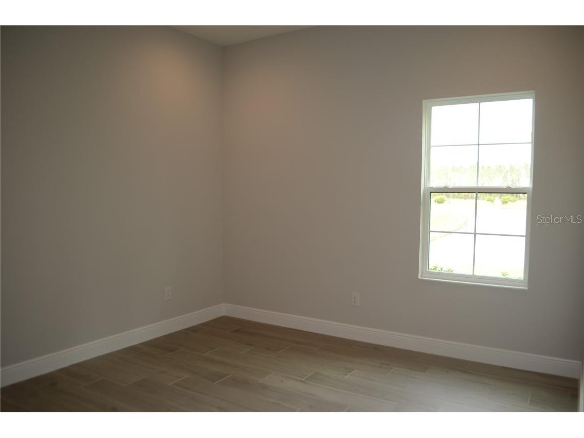 35311 Big Hawk Drive Zephyrhills FL 33541 TB8397906 image9