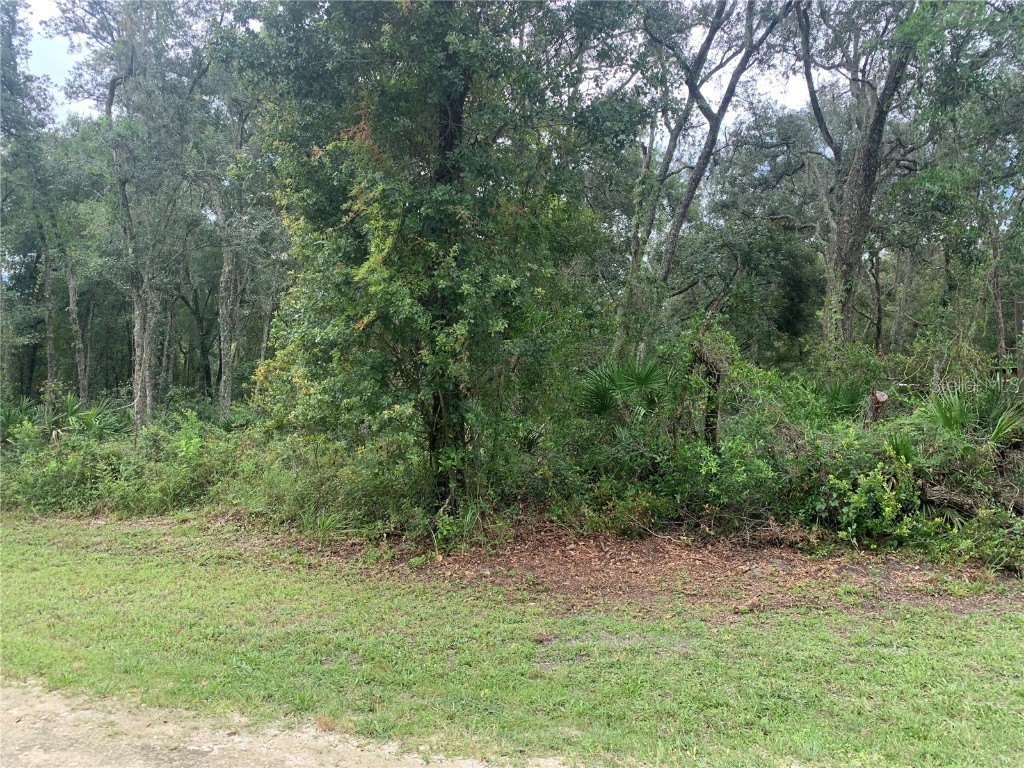 35314 Goethals Street Webster FL 33597 G5085479 image4