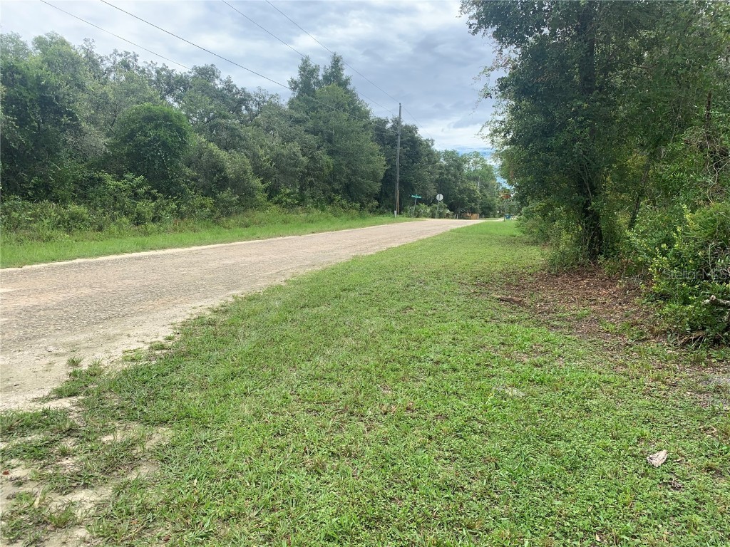 35314 Goethals Street Webster FL 33597 G5085479 image8