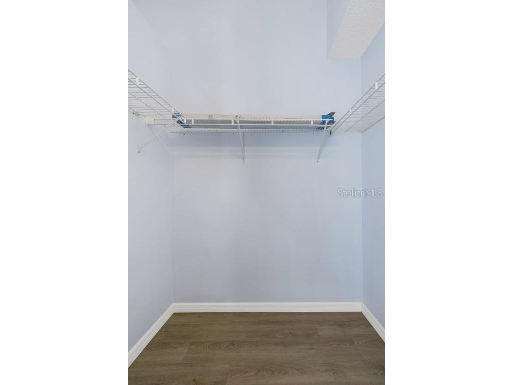 3532 Cayman Court Palm Harbor FL 34684 TB8431710 image27