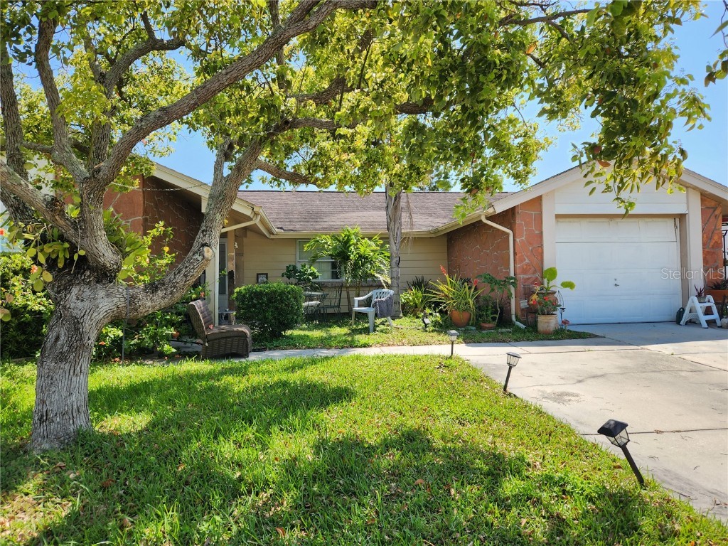 3532 Overland Drive Holiday FL 34691 U8238935 image1