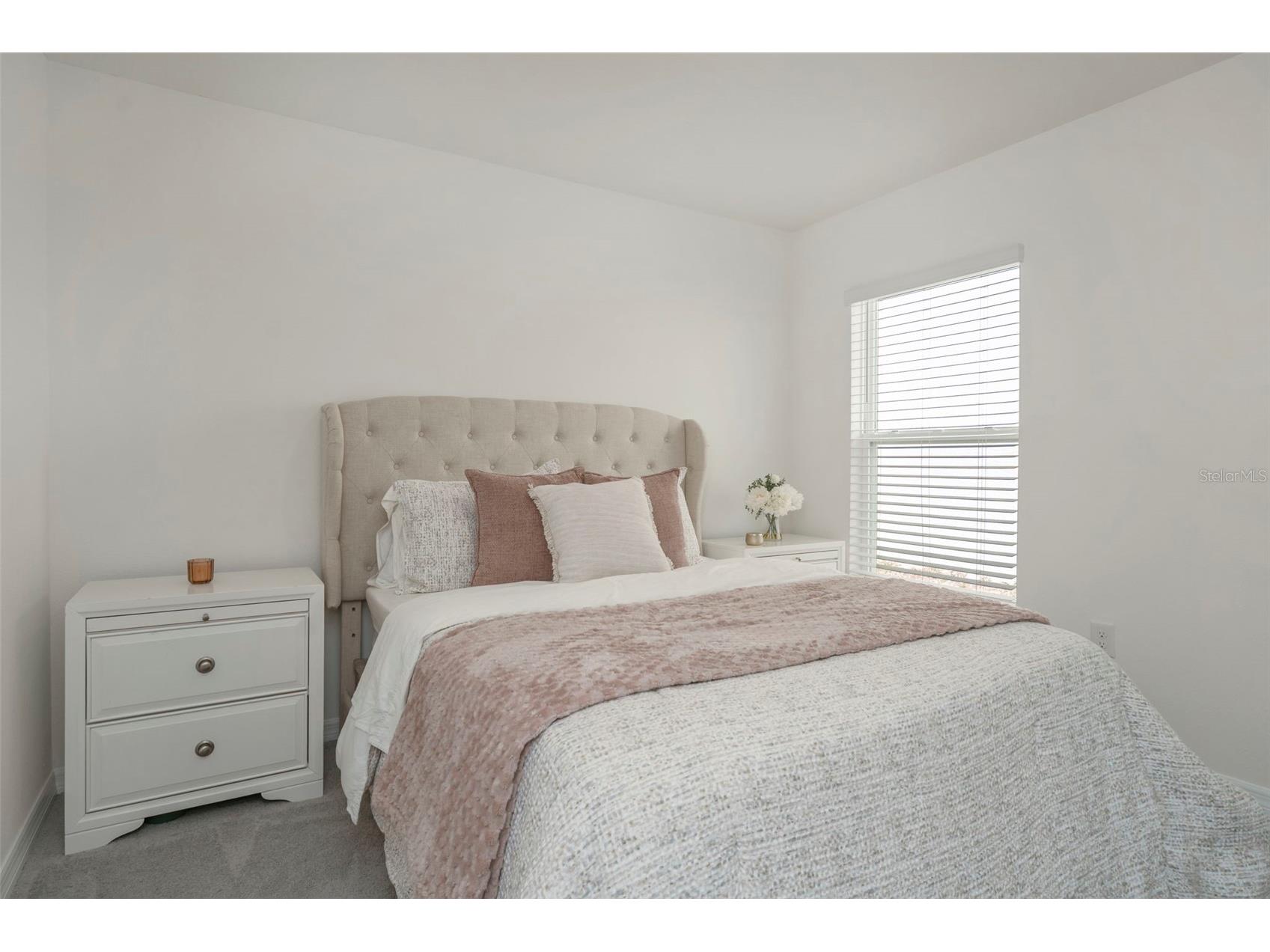 35320 Spruce Knob Court Dade City FL 33525 TB8484937 image21