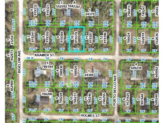 35321 Kramer Street Webster FL 33597 OM660062 image1