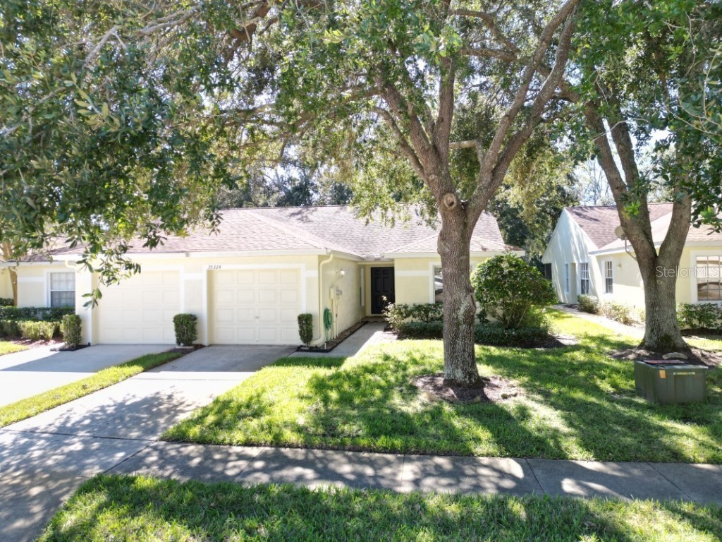 35324 Whispering Pines Drive Zephyrhills FL 33541 TB8341466 image1