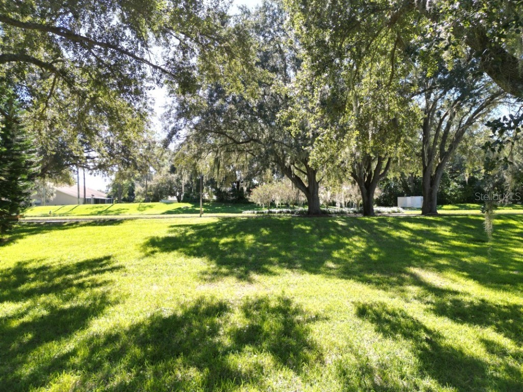 35324 Whispering Pines Drive Zephyrhills FL 33541 TB8341466 image27