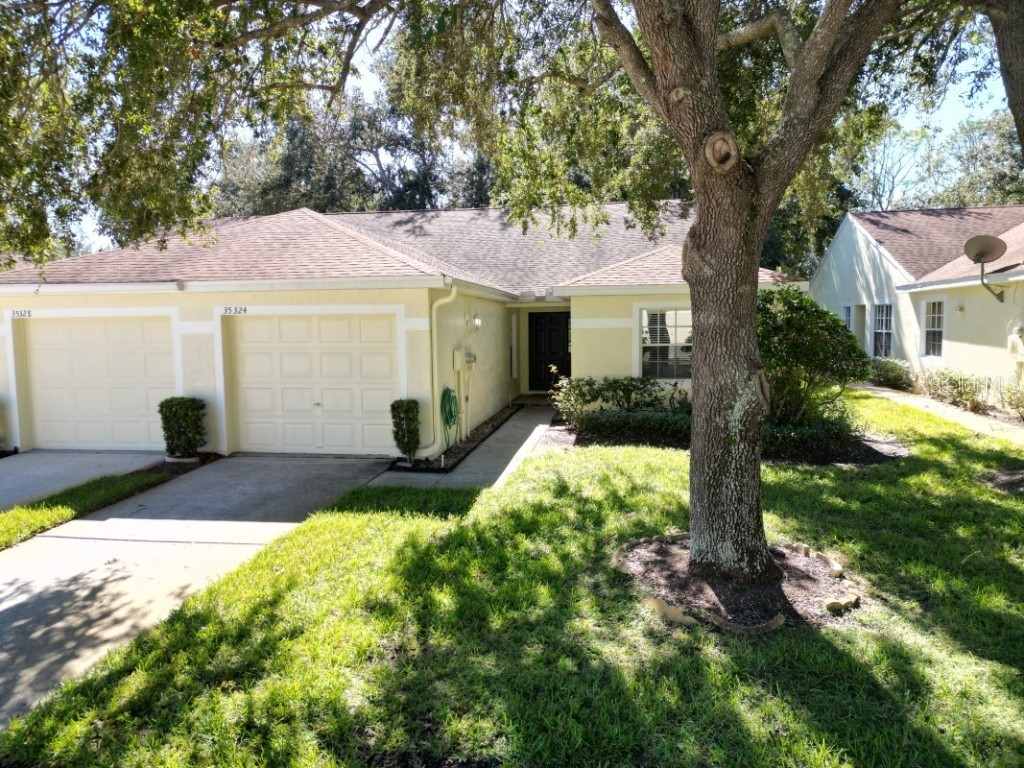 35324 Whispering Pines Drive Zephyrhills FL 33541 TB8341466 image30