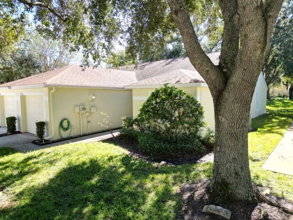 35324 Whispering Pines Drive Zephyrhills FL 33541 TB8341466 image31