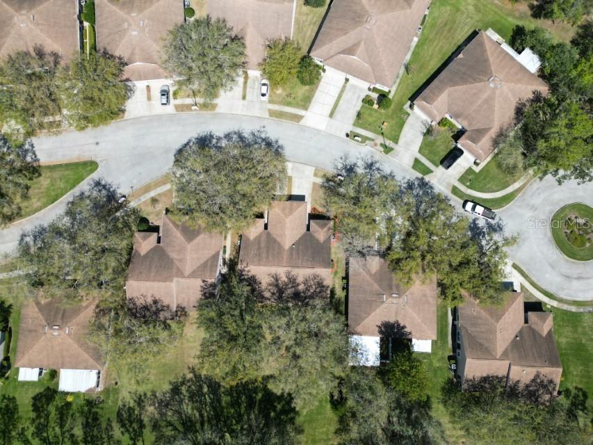 35324 Whispering Pines Drive Zephyrhills FL 33541 TB8341466 image36