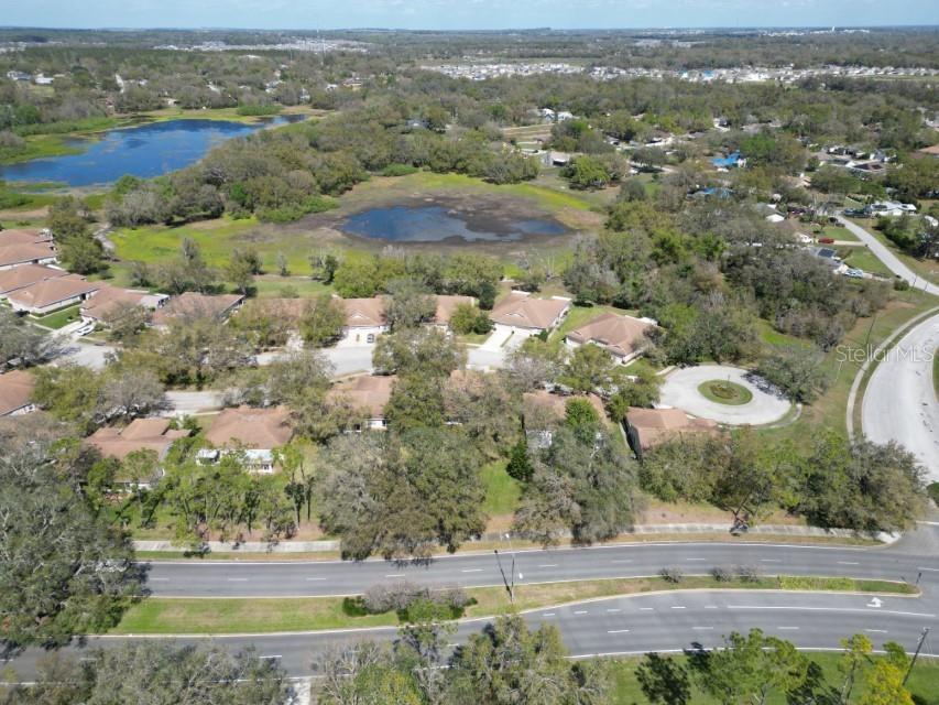 35324 Whispering Pines Drive Zephyrhills FL 33541 TB8341466 image37