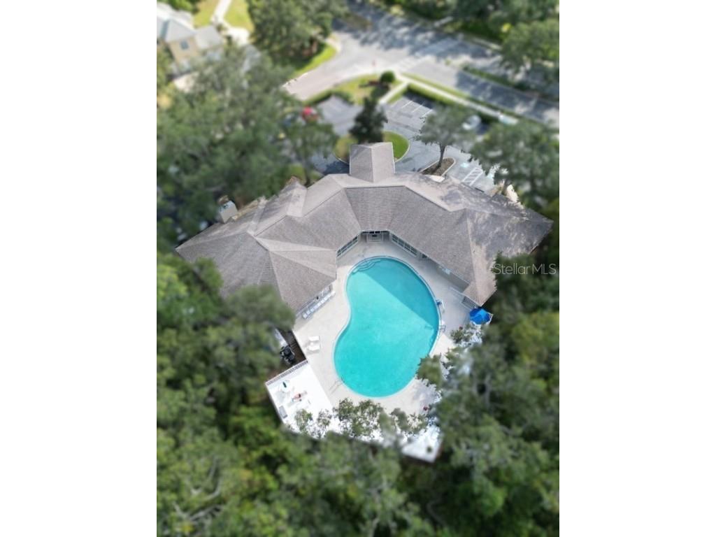 35324 Whispering Pines Drive Zephyrhills FL 33541 TB8341466 image42