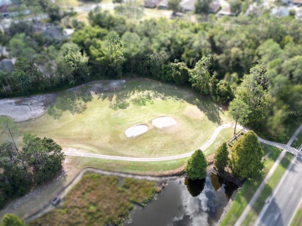 35324 Whispering Pines Drive Zephyrhills FL 33541 TB8341466 image48