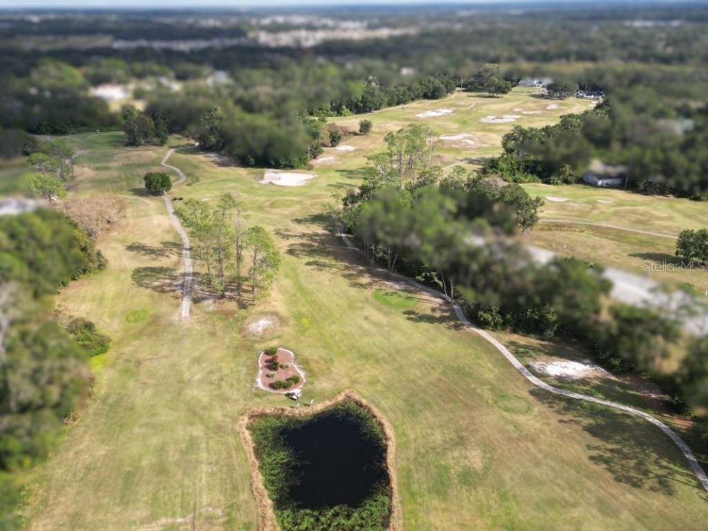 35324 Whispering Pines Drive Zephyrhills FL 33541 TB8341466 image49