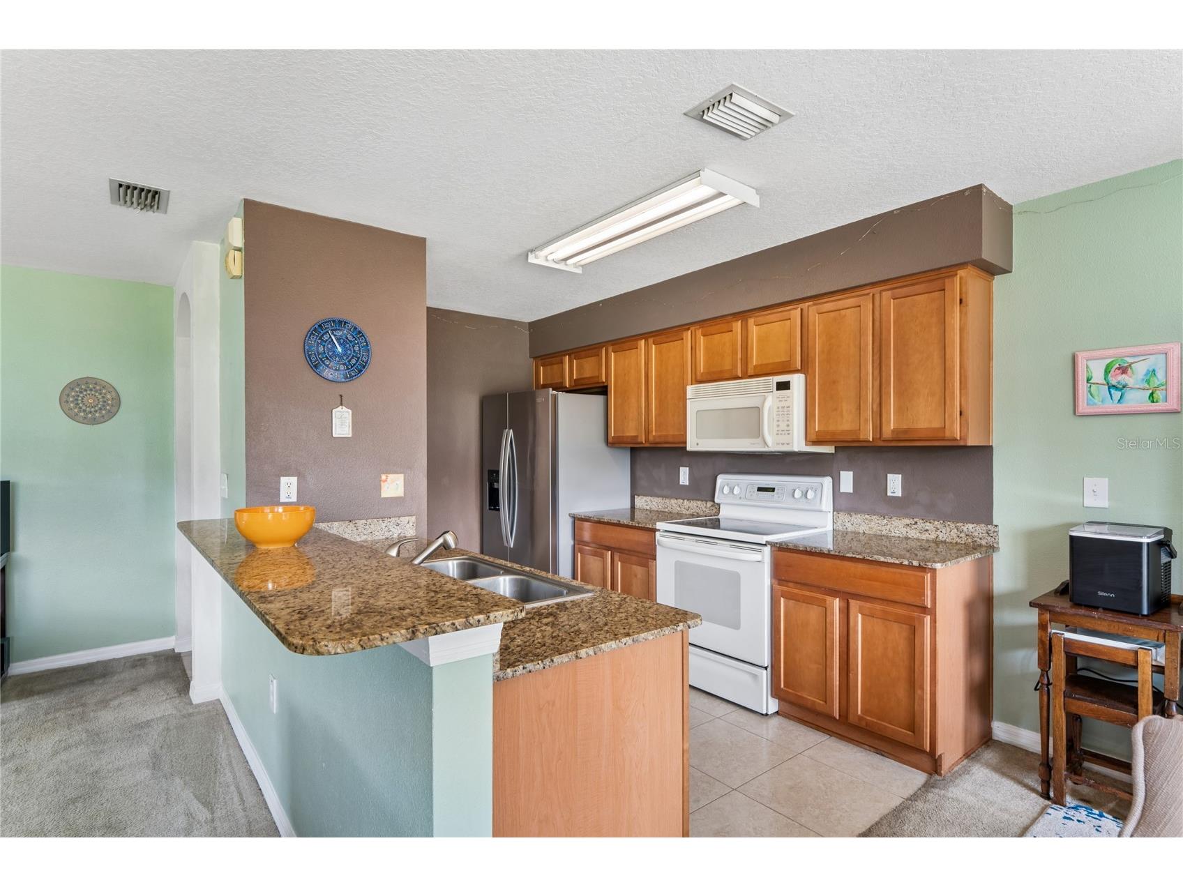 3533 Cardinal Feather Drive Land O Lakes FL 34638 TB8507083 image10