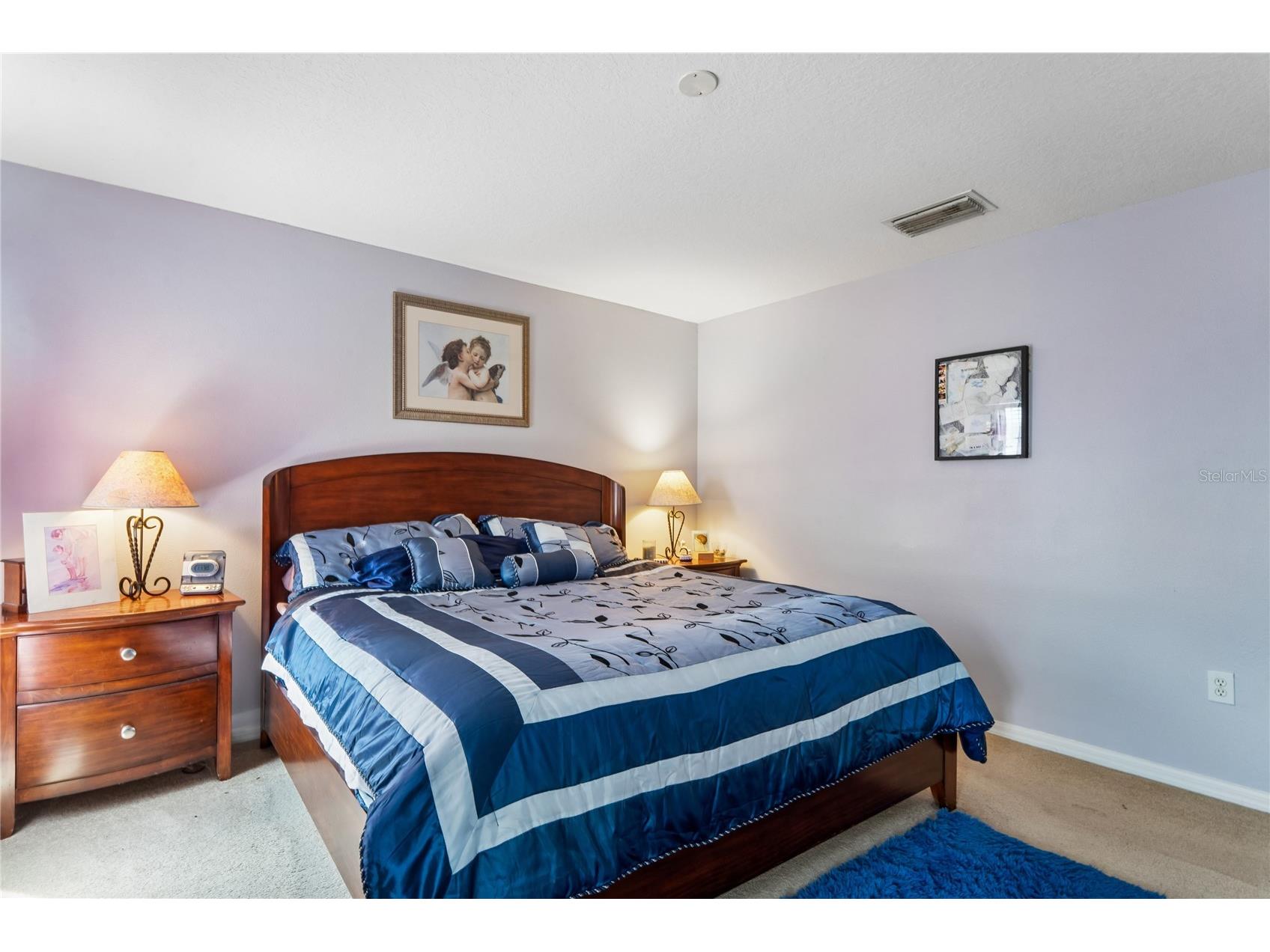 3533 Cardinal Feather Drive Land O Lakes FL 34638 TB8507083 image19