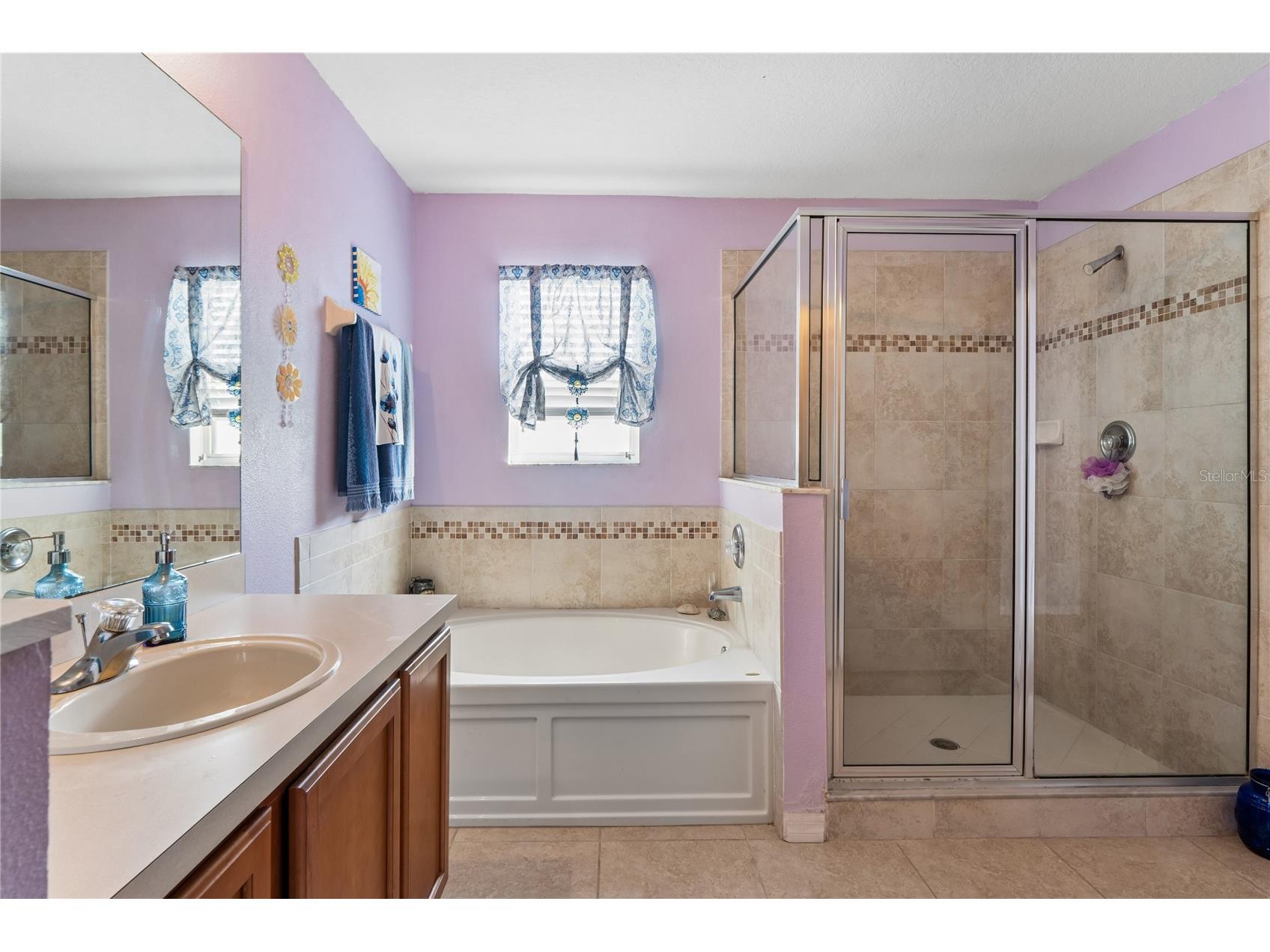 3533 Cardinal Feather Drive Land O Lakes FL 34638 TB8507083 image21