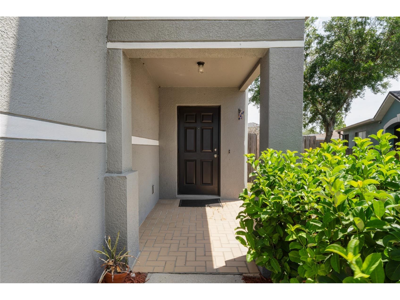 3533 Cardinal Feather Drive Land O Lakes FL 34638 TB8507083 image4
