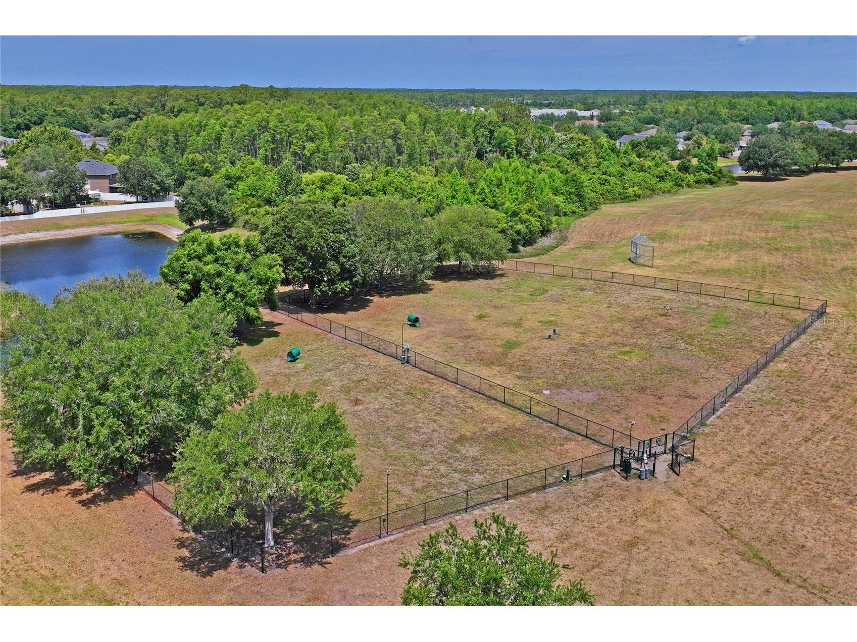 3533 Cardinal Feather Drive Land O Lakes FL 34638 TB8507083 image41