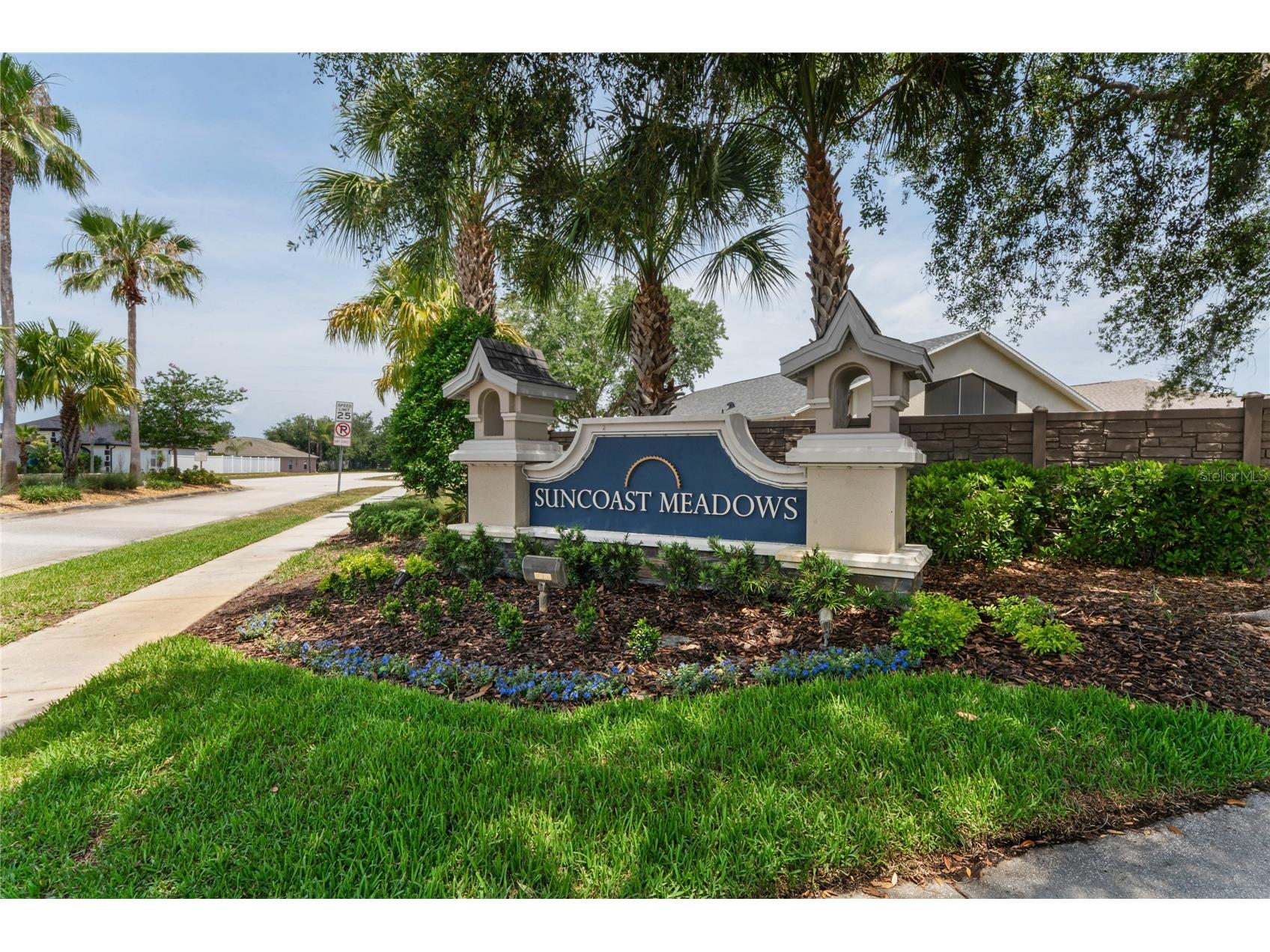 3533 Cardinal Feather Drive Land O Lakes FL 34638 TB8507083 image42