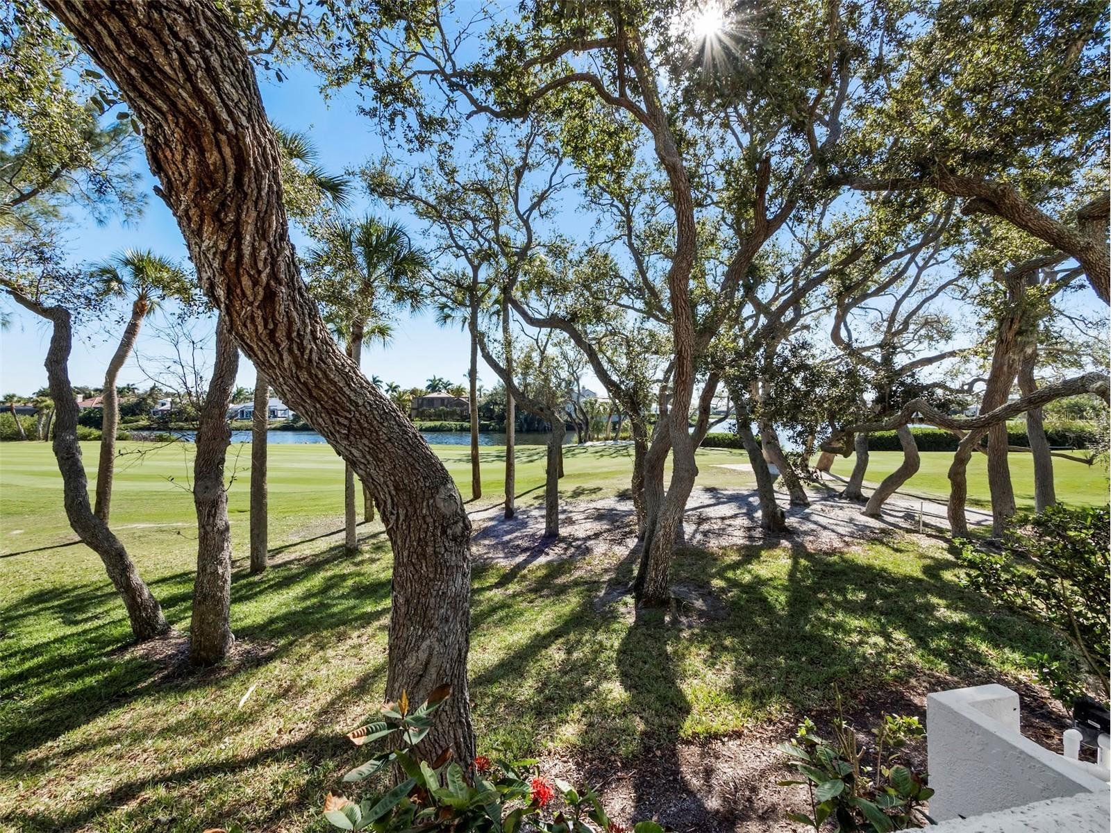 3533 Fair Oaks Lane Longboat Key FL 34228 A4678167 image15