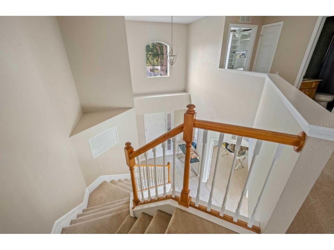 3533 Juneberry Drive Wesley Chapel FL 33543 TB8448792 image10