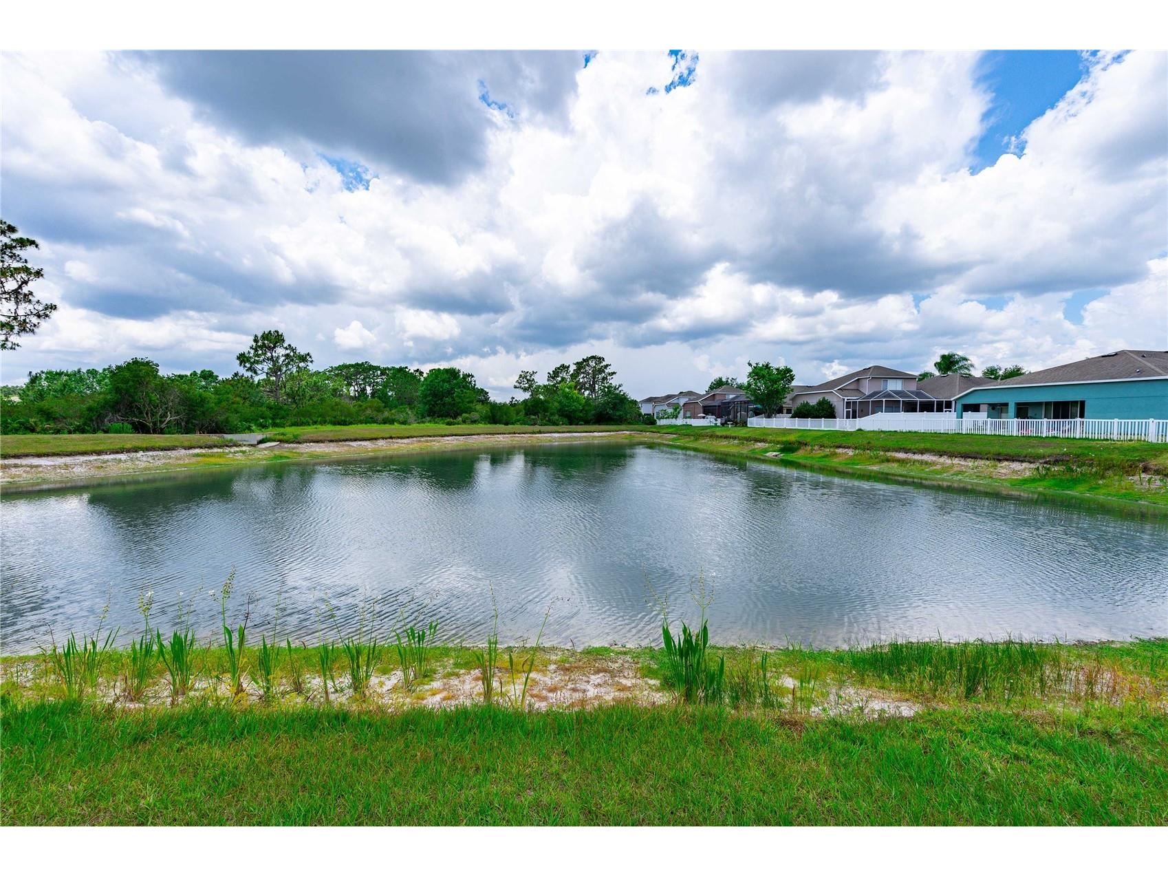 3533 Juneberry Drive Wesley Chapel FL 33543 TB8448792 image3