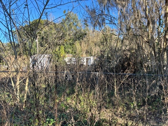 3533 NE 59th Terrace Silver Springs FL 34488 OM715464 image1