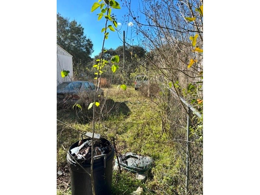 3533 NE 59th Terrace Silver Springs FL 34488 OM715464 image5