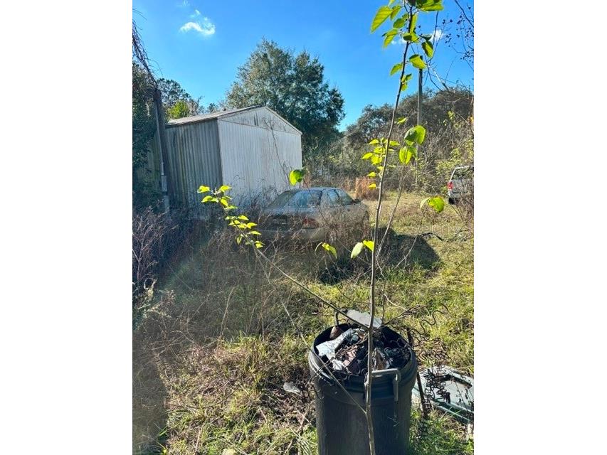 3533 NE 59th Terrace Silver Springs FL 34488 OM715464 image6