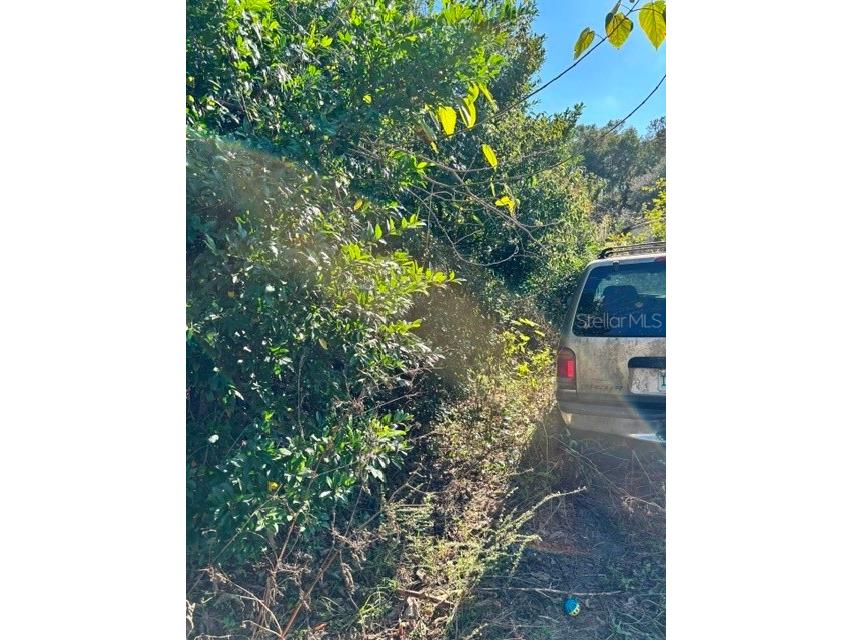 3533 NE 59th Terrace Silver Springs FL 34488 OM715464 image7