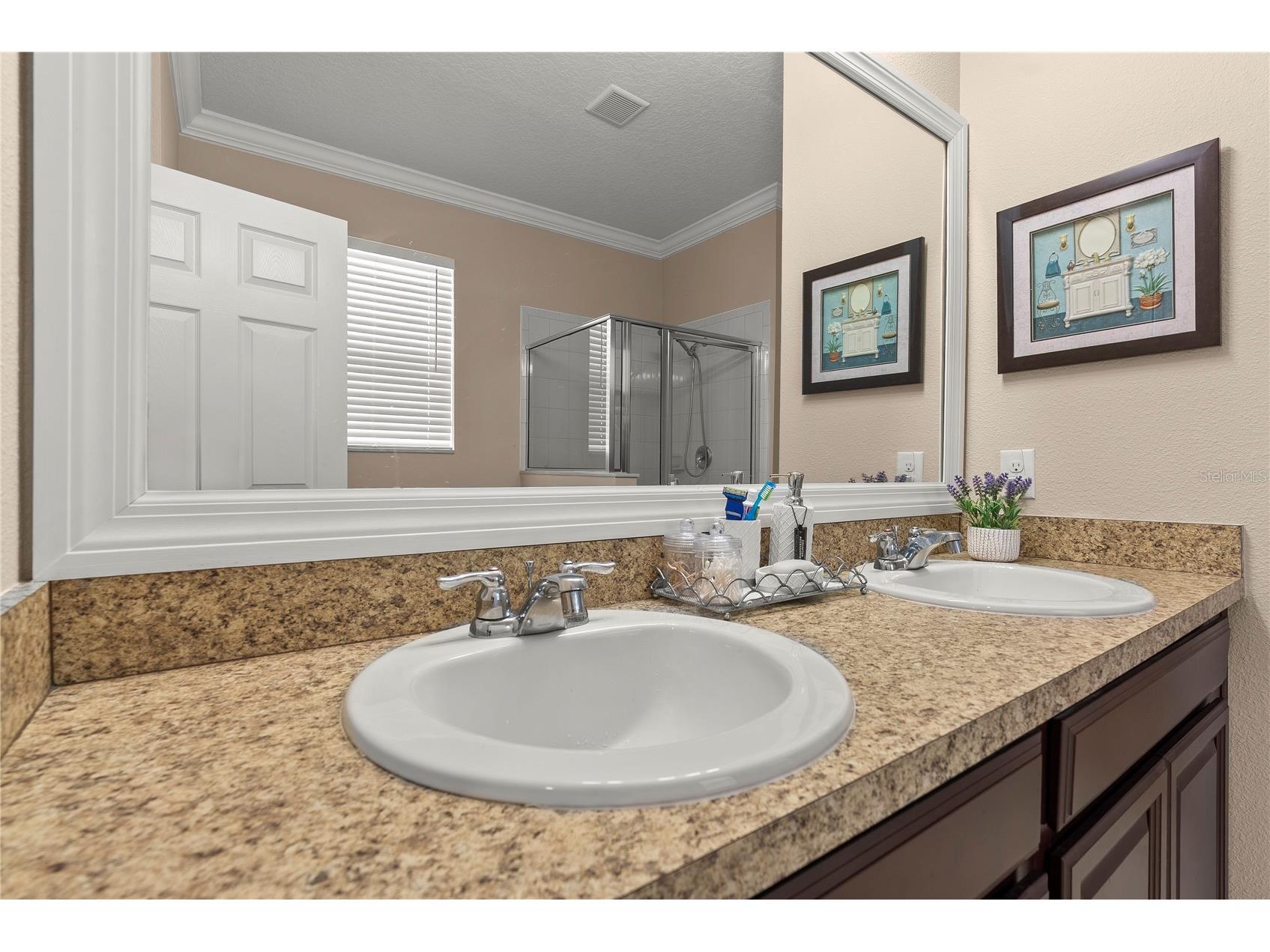3534 Cayugas Loop Saint Cloud FL 34772 S5151714 image22