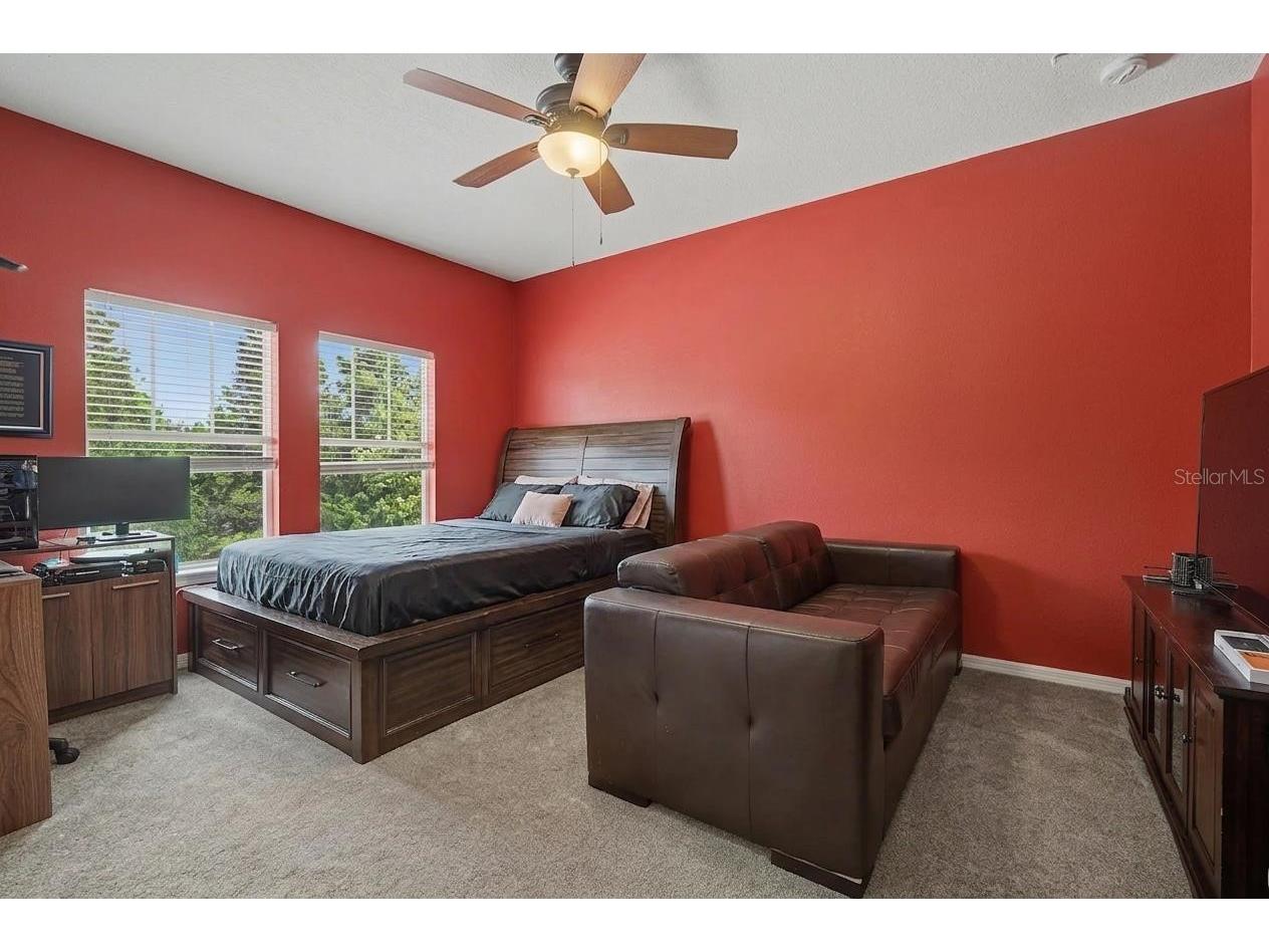 3534 Diaz Street New Port Richey FL 34655 W7886142 image20