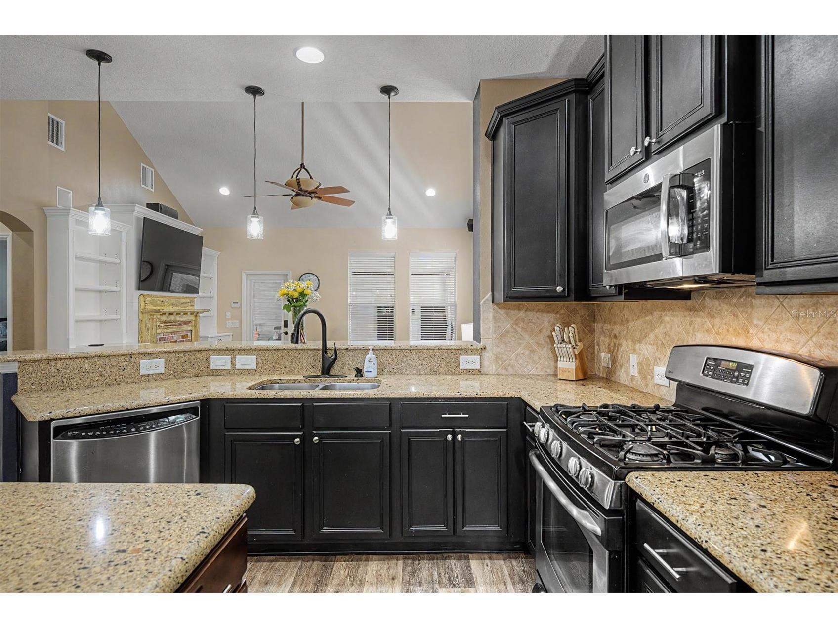 3534 Diaz Street New Port Richey FL 34655 W7886142 image3
