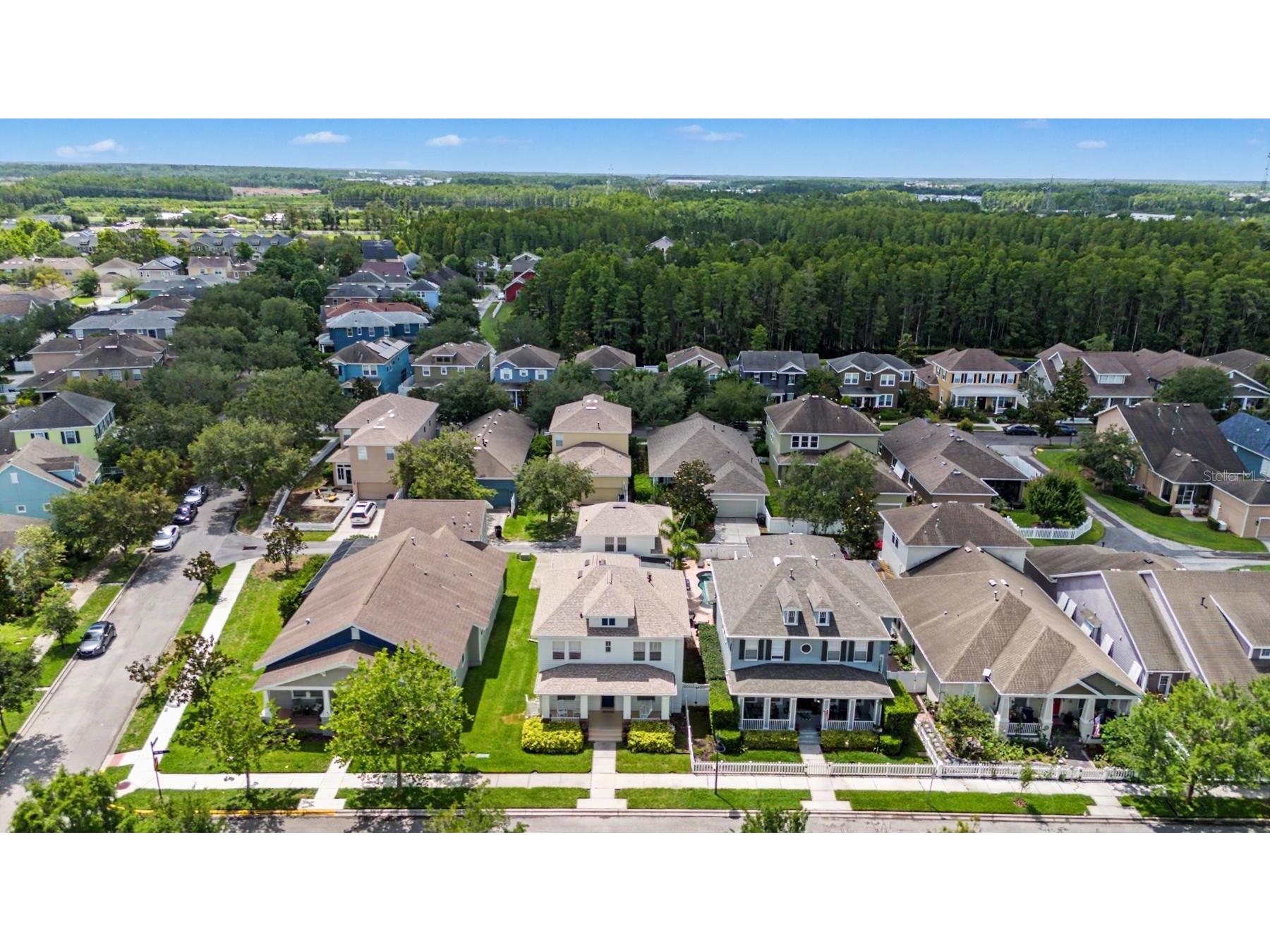 3534 Diaz Street New Port Richey FL 34655 W7886142 image36