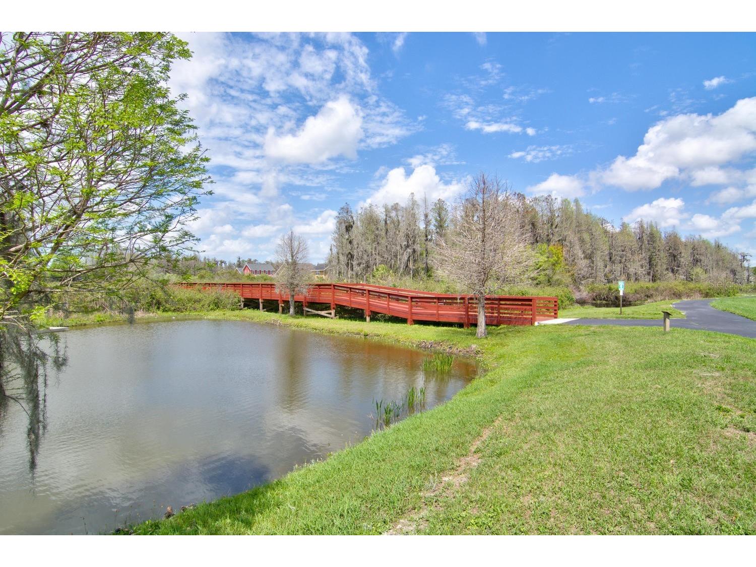 3534 Diaz Street New Port Richey FL 34655 W7886142 image49
