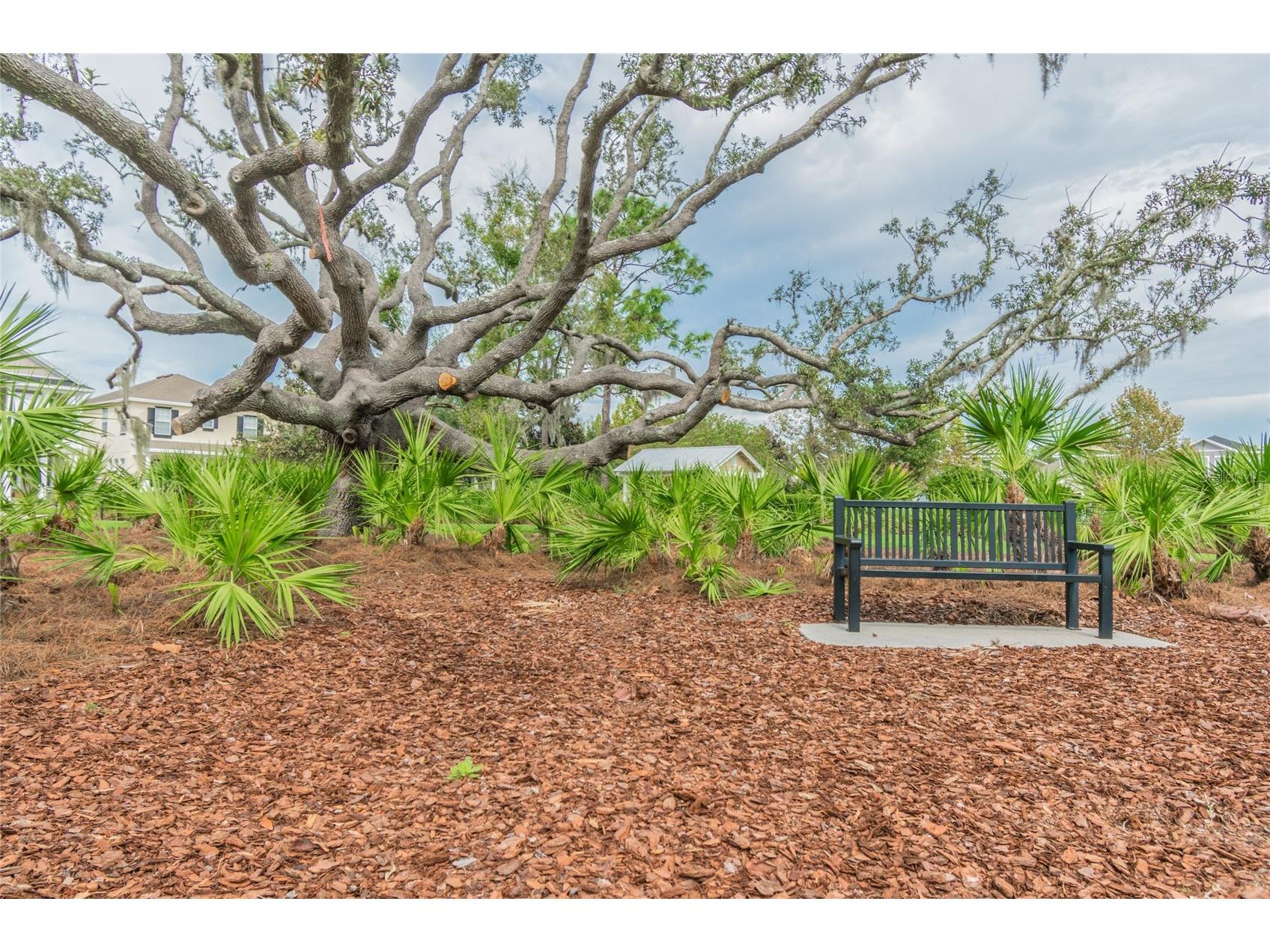3534 Diaz Street New Port Richey FL 34655 W7886142 image50