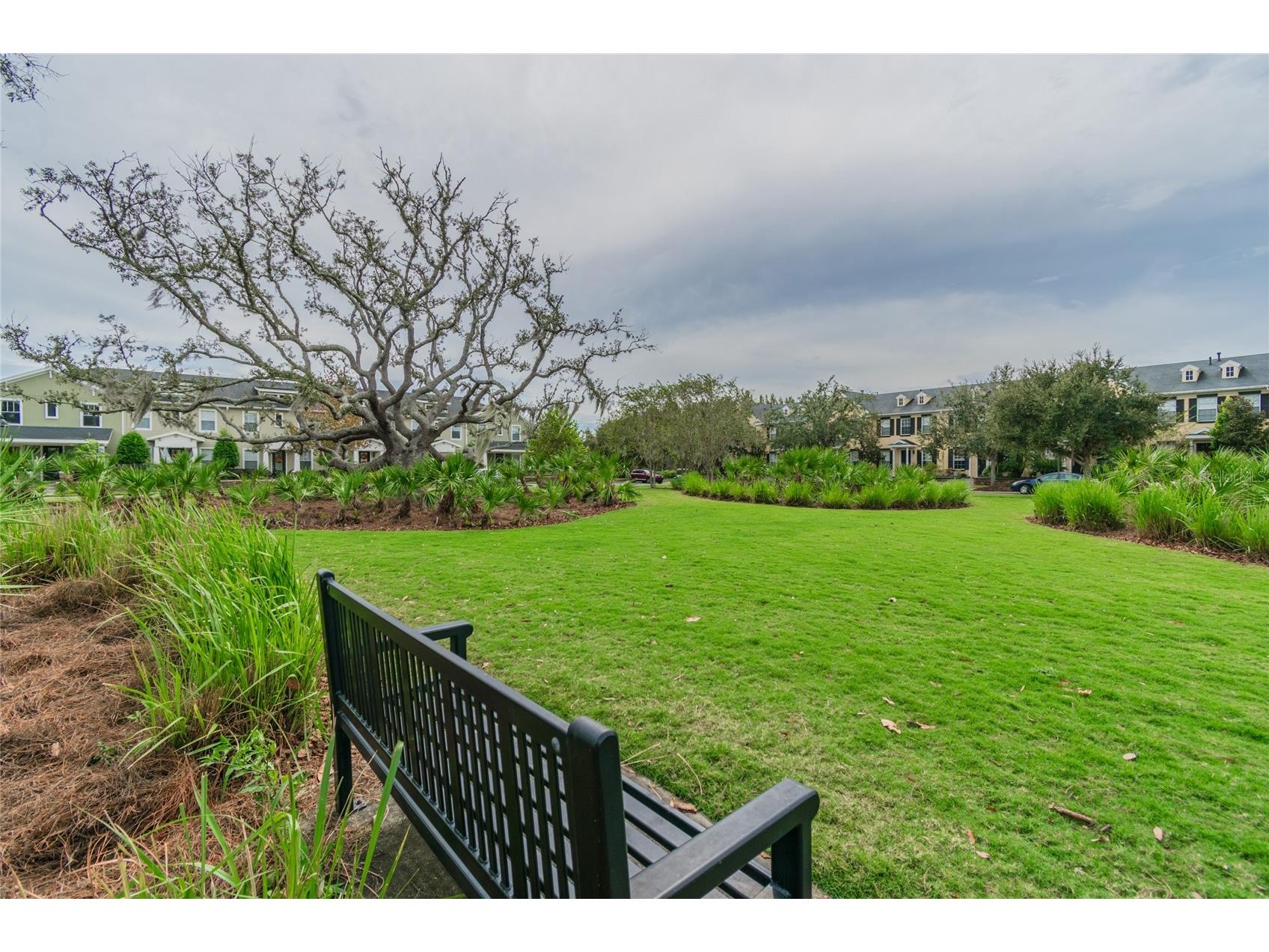 3534 Diaz Street New Port Richey FL 34655 W7886142 image53
