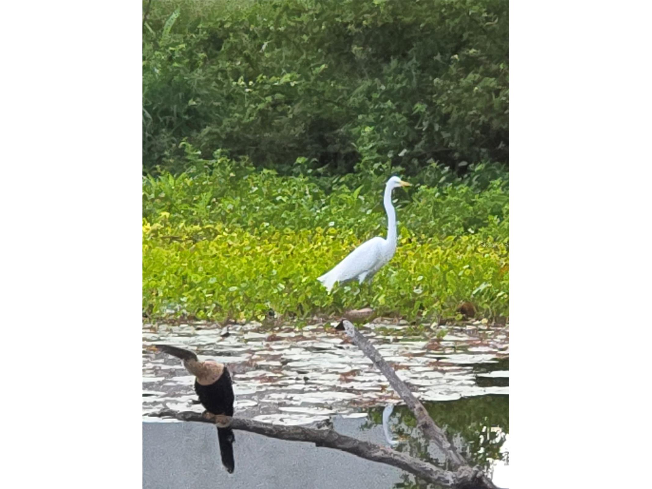 3534 Tundra Road Venice FL 34293 N6142340 image43