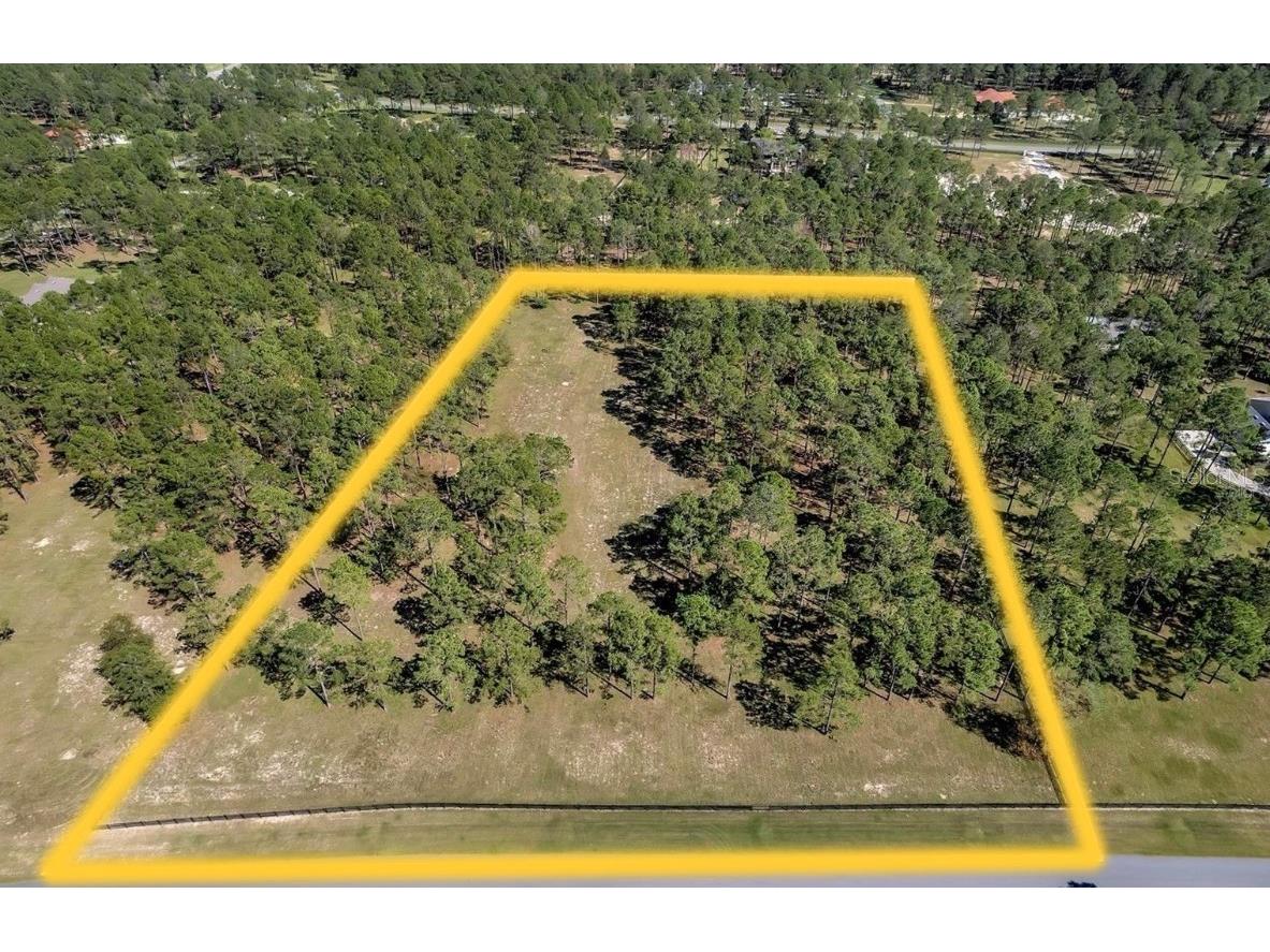 35340 Pinegate Trail Eustis FL 32736 O6288281 image1