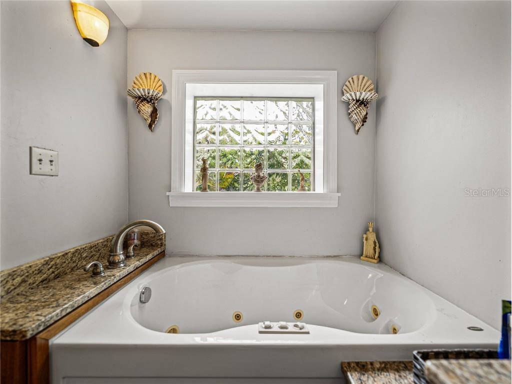 35349 Perch Drive Zephyrhills FL 33541 TB8425465 image39