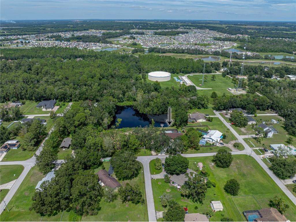 35349 Perch Drive Zephyrhills FL 33541 TB8425465 image4