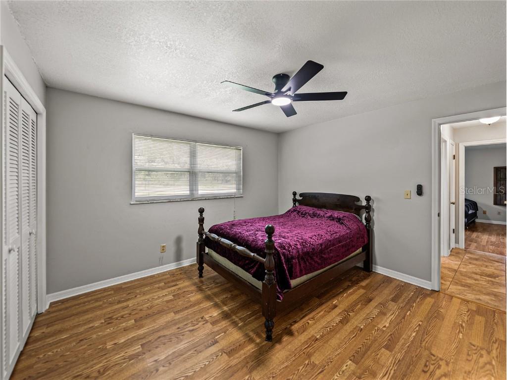 35349 Perch Drive Zephyrhills FL 33541 TB8425465 image46