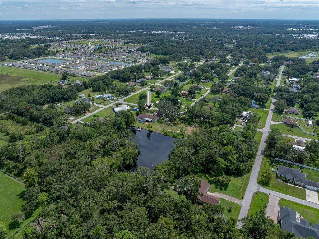 35349 Perch Drive Zephyrhills FL 33541 TB8425465 image5