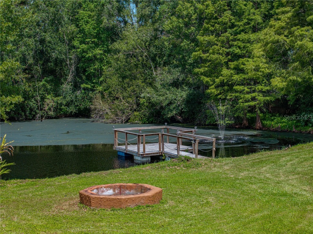 35349 Perch Drive Zephyrhills FL 33541 TB8425465 image59