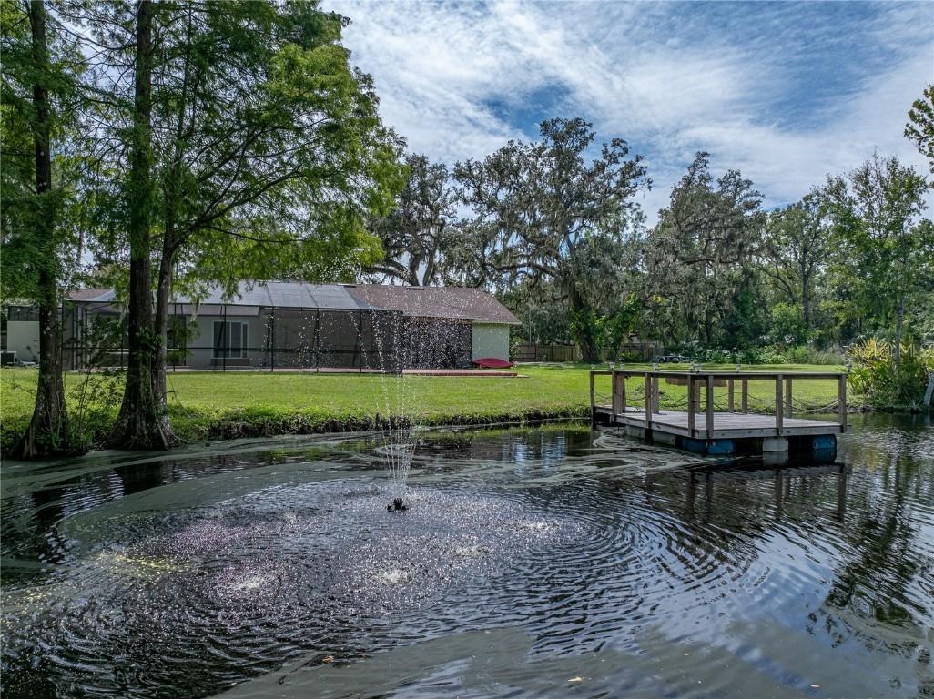 35349 Perch Drive Zephyrhills FL 33541 TB8425465 image60