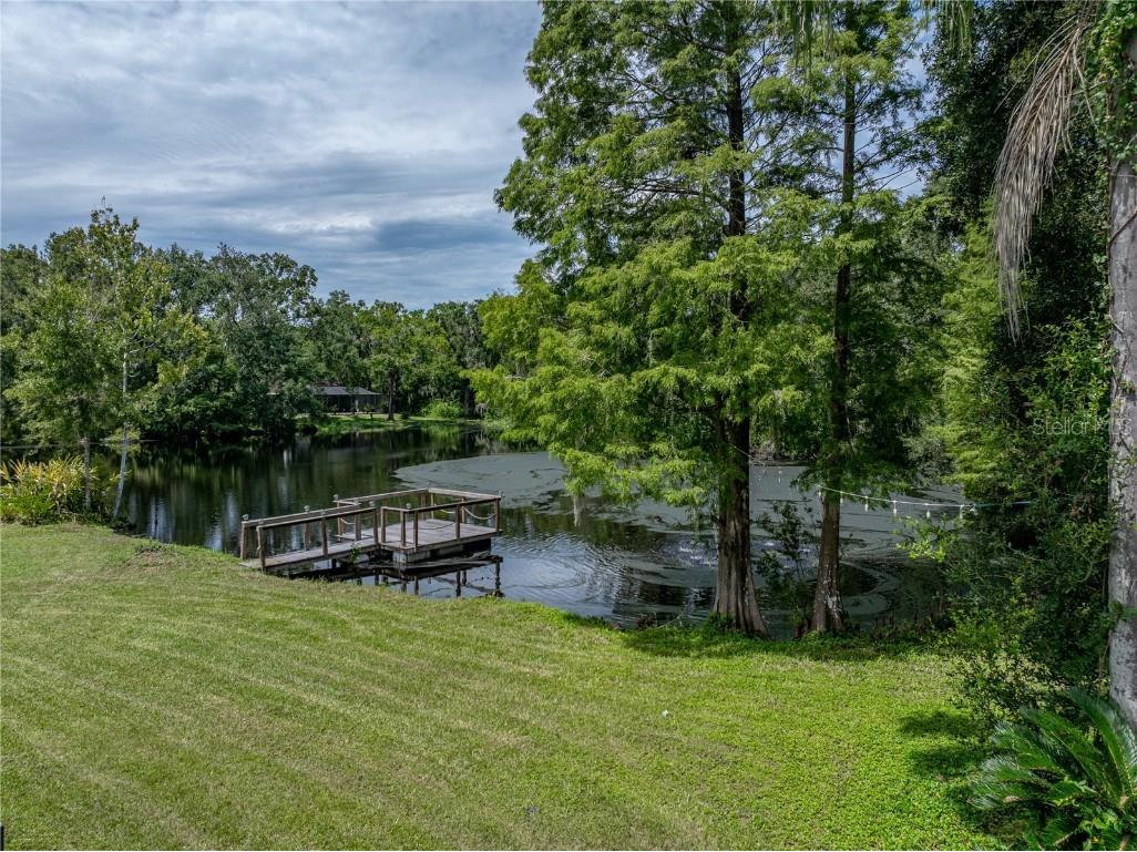 35349 Perch Drive Zephyrhills FL 33541 TB8425465 image62