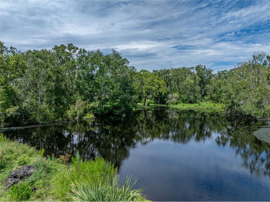 35349 Perch Drive Zephyrhills FL 33541 TB8425465 image63
