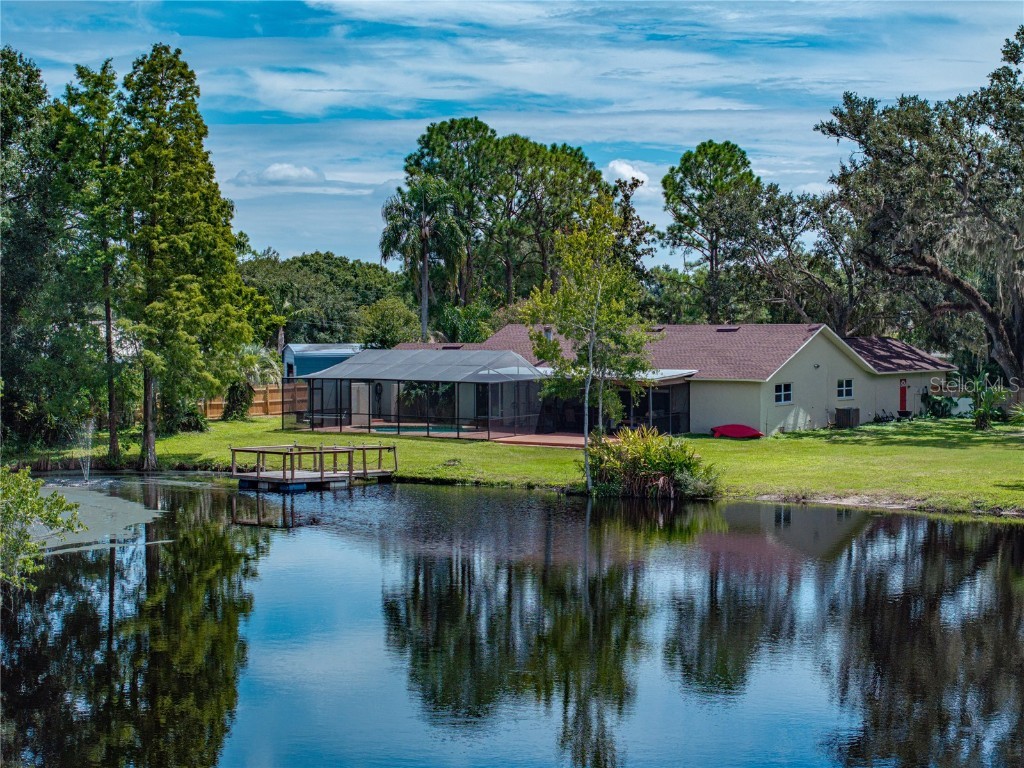 35349 Perch Drive Zephyrhills FL 33541 TB8425465 image64