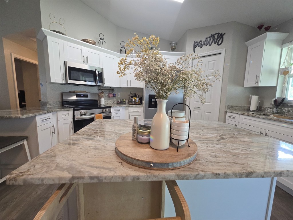 3535 Se 131st Place Belleview FL 34420 OM710064 image7